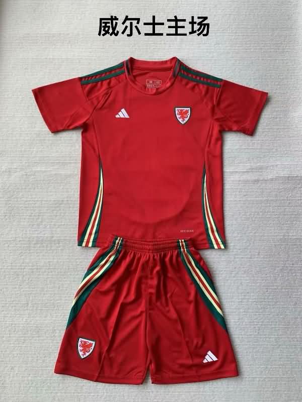 Wales 2024 Home Soccer Jersey