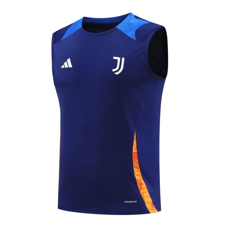 AAA Quality Juventus 24/25 Training Vest Soccer Jersey