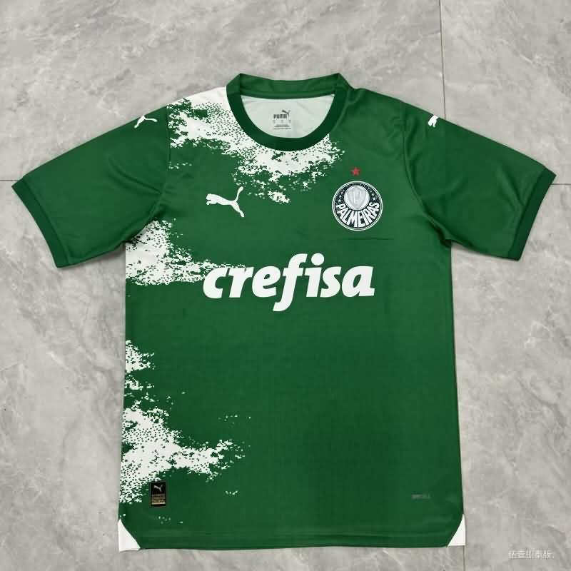 AAA Quality Palmeiras 2024 Special Soccer Jersey