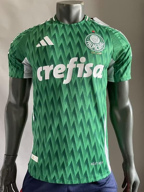 AAA Quality Palmeiras 2024 Special Soccer Jersey (Player) 02