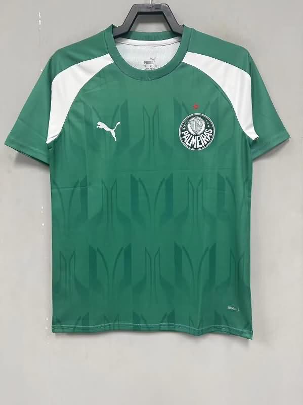 AAA Quality Palmeiras 2024 Training Soccer Jersey 02
