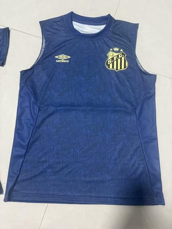 AAA Quality Santos 2024 Training Vest Soccer Jersey