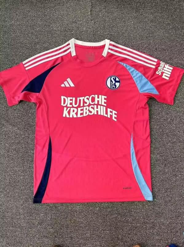 AAA Quality Schalke 04 24/25 Special Soccer Jersey