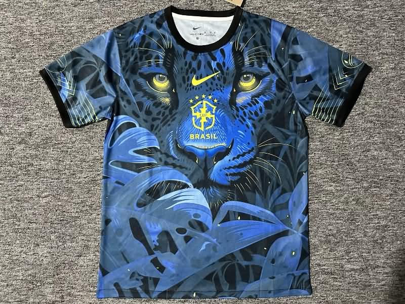 AAA Quality Brazil 2024 Special Soccer Jersey 07