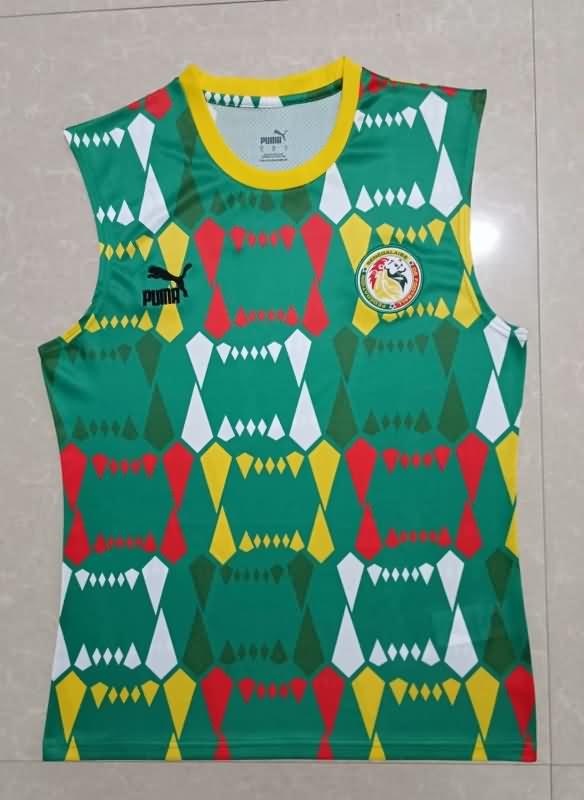 AAA Quality Cameroon 2023/24 Training Vest Soccer Jersey