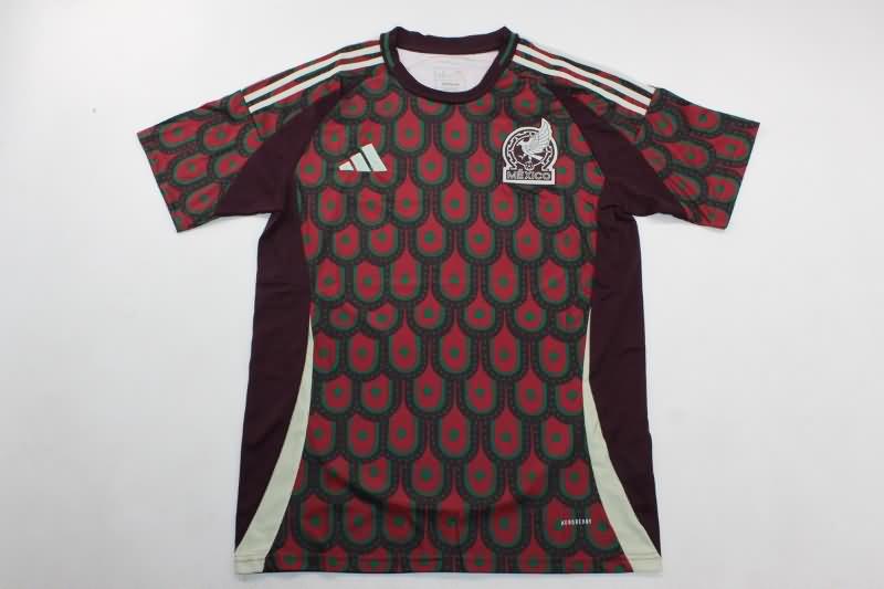 AAA Quality Mexico 2024 Copa America Home Soccer Jersey