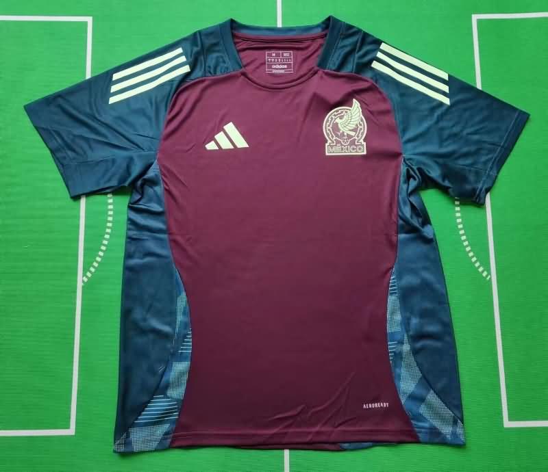 AAA Quality Mexico 2024 Training Soccer Jersey 02