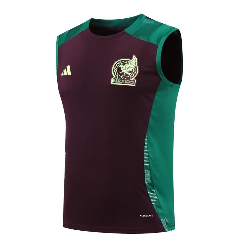 AAA Quality Mexico 2024 Training Vest Soccer Jersey