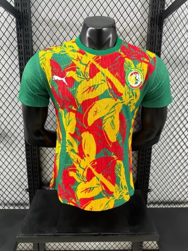 AAA Quality Senegal 2025 Training Soccer Jersey (Player)